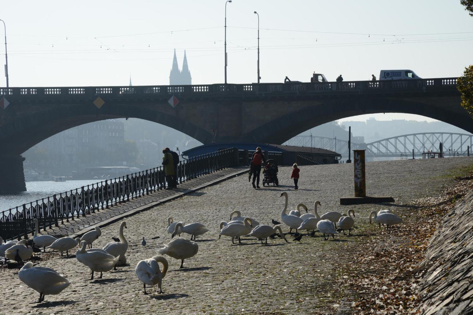 Luxurious 3bed Very Spacious In The Area Apartment Prague